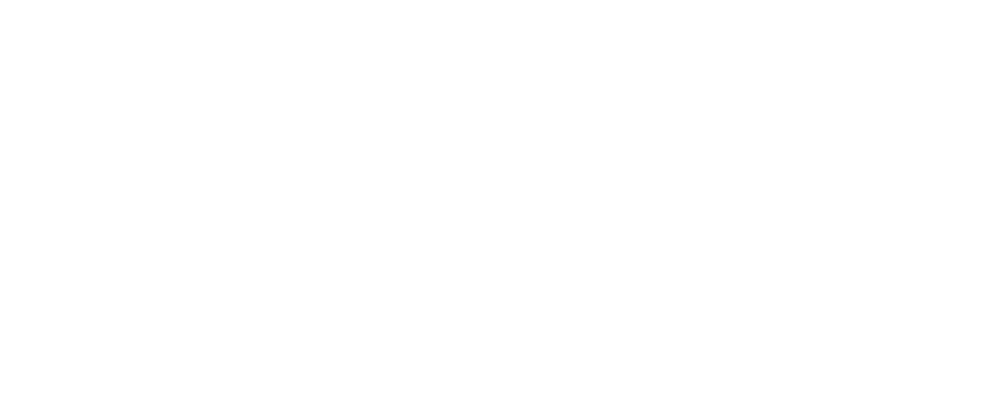 Velmora Strategy Group