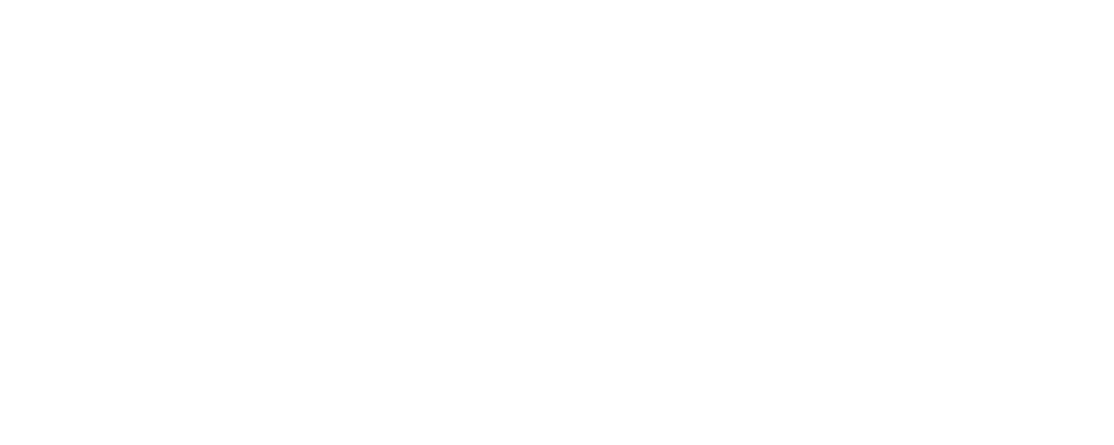 Velmora Strategy Group